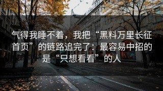 气得我睡不着，我把“黑料万里长征首页”的链路追完了：最容易中招的是“只想看看”的人
