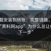 从下载安装到转账：完整链路，我才明白“黑料网app”为什么总让你“点下一步”