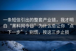 一条短信引出的整套产业链，我才明白“黑料网今日”为什么总让你“点下一步”；别慌，按这三步止损