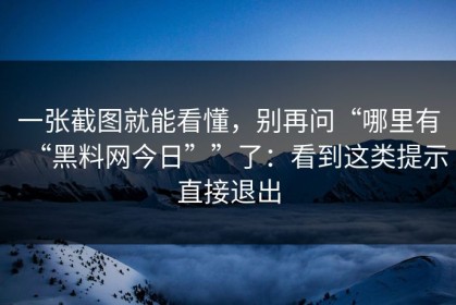 一张截图就能看懂，别再问“哪里有“黑料网今日””了：看到这类提示直接退出