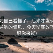 我以为自己看懂了，后来才发现我对蜜桃导航的偏见，今天彻底改了（不服你来试）