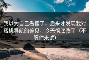 我以为自己看懂了，后来才发现我对蜜桃导航的偏见，今天彻底改了（不服你来试）