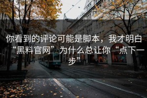 你看到的评论可能是脚本，我才明白“黑料官网”为什么总让你“点下一步”