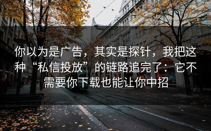 你以为是广告，其实是探针，我把这种“私信投放”的链路追完了：它不需要你下载也能让你中招