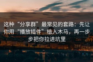 这种“分享群”最常见的套路：先让你用“播放插件”植入木马，再一步步把你拉进坑里