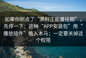 如果你刚点了“黑料正能量往期”，先停一下：这种“APP安装包”用“播放插件”植入木马；一定要关掉这个权限