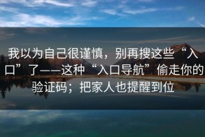 我以为自己很谨慎，别再搜这些“入口”了——这种“入口导航”偷走你的验证码；把家人也提醒到位