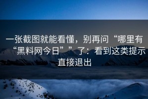 一张截图就能看懂，别再问“哪里有“黑料网今日””了：看到这类提示直接退出