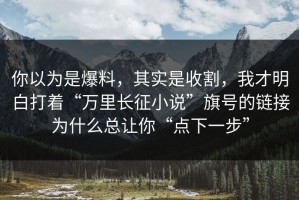 你以为是爆料，其实是收割，我才明白打着“万里长征小说”旗号的链接为什么总让你“点下一步”