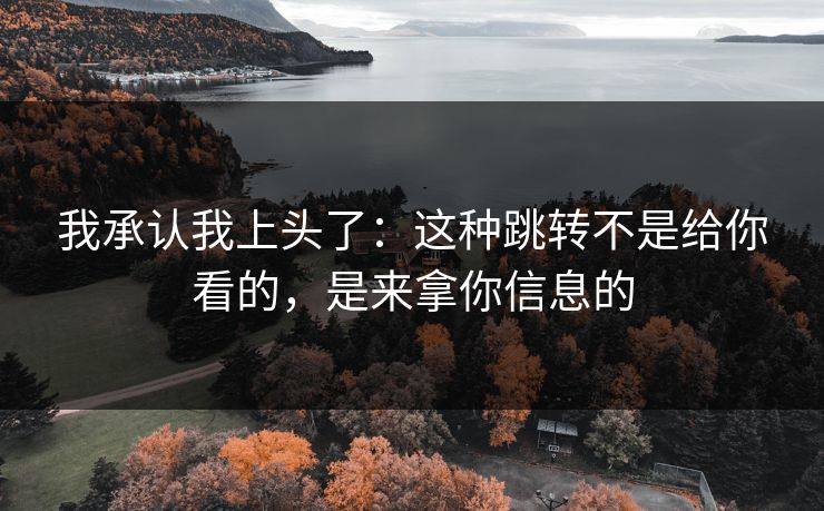 我承认我上头了：这种跳转不是给你看的，是来拿你信息的