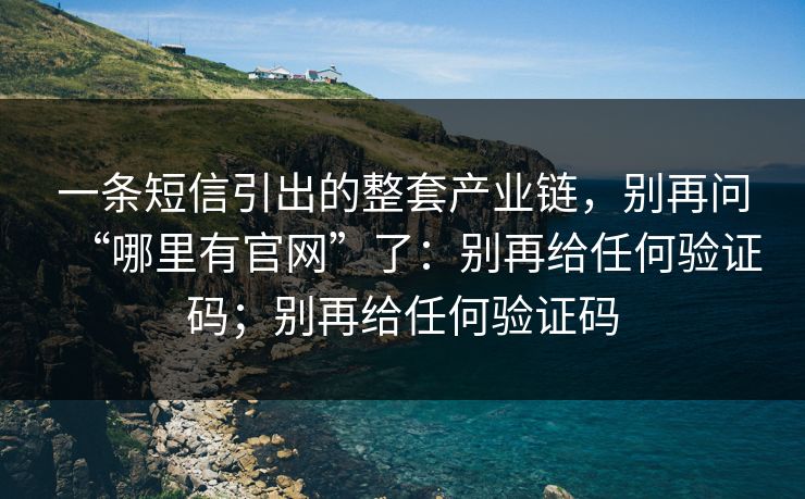 一条短信引出的整套产业链，别再问“哪里有官网”了：别再给任何验证码；别再给任何验证码