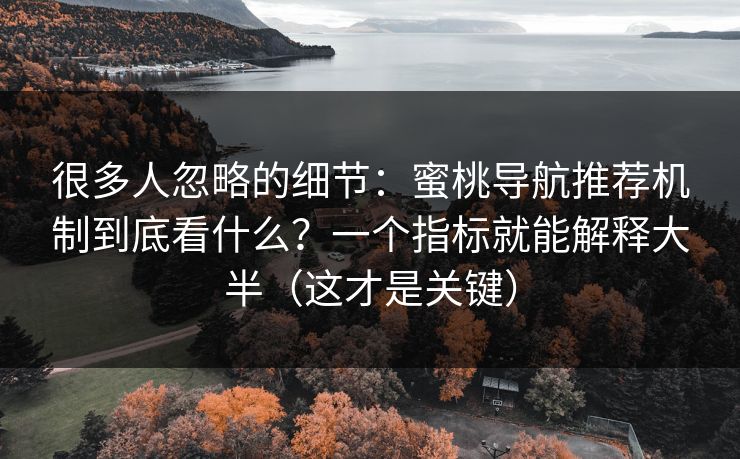很多人忽略的细节：蜜桃导航推荐机制到底看什么？一个指标就能解释大半（这才是关键）
