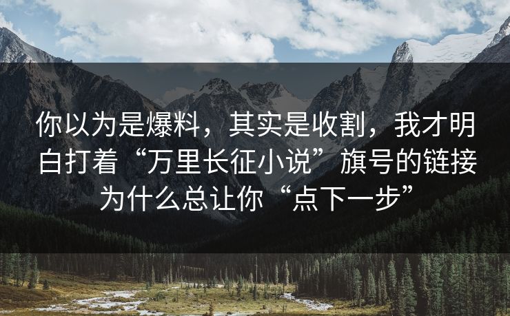 你以为是爆料，其实是收割，我才明白打着“万里长征小说”旗号的链接为什么总让你“点下一步”