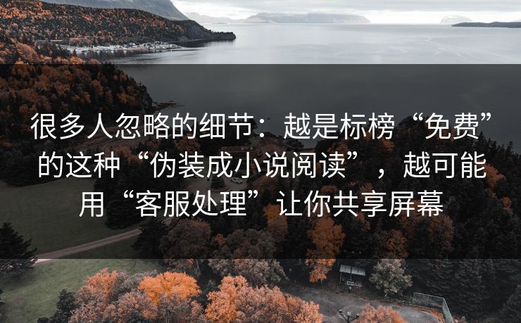 很多人忽略的细节：越是标榜“免费”的这种“伪装成小说阅读”，越可能用“客服处理”让你共享屏幕