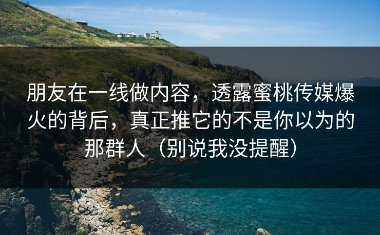 朋友在一线做内容，透露蜜桃传媒爆火的背后，真正推它的不是你以为的那群人（别说我没提醒）